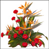 Joyful Blusters - Click here to View more details about this Product